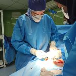 doctor-profile-image