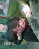 doctor-profile-image